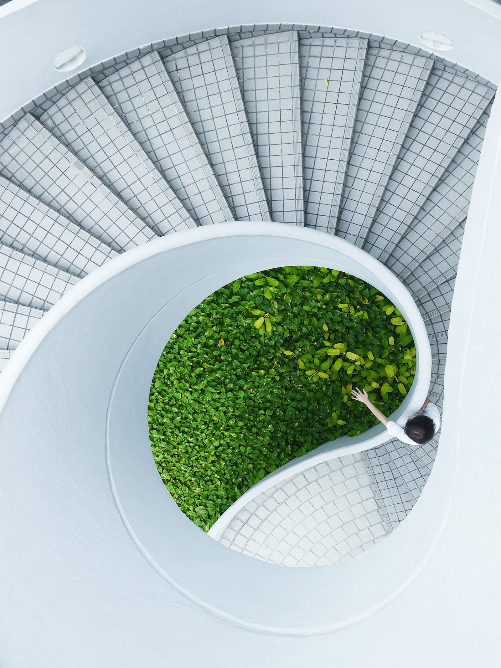 stairs 6